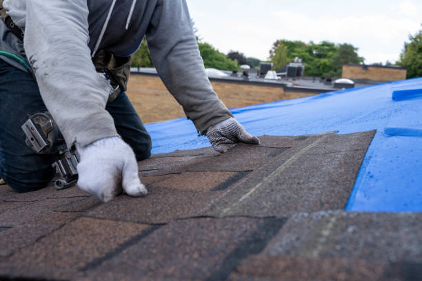 Best Roof Gutter Cleaning  in Gluckstadt, MS